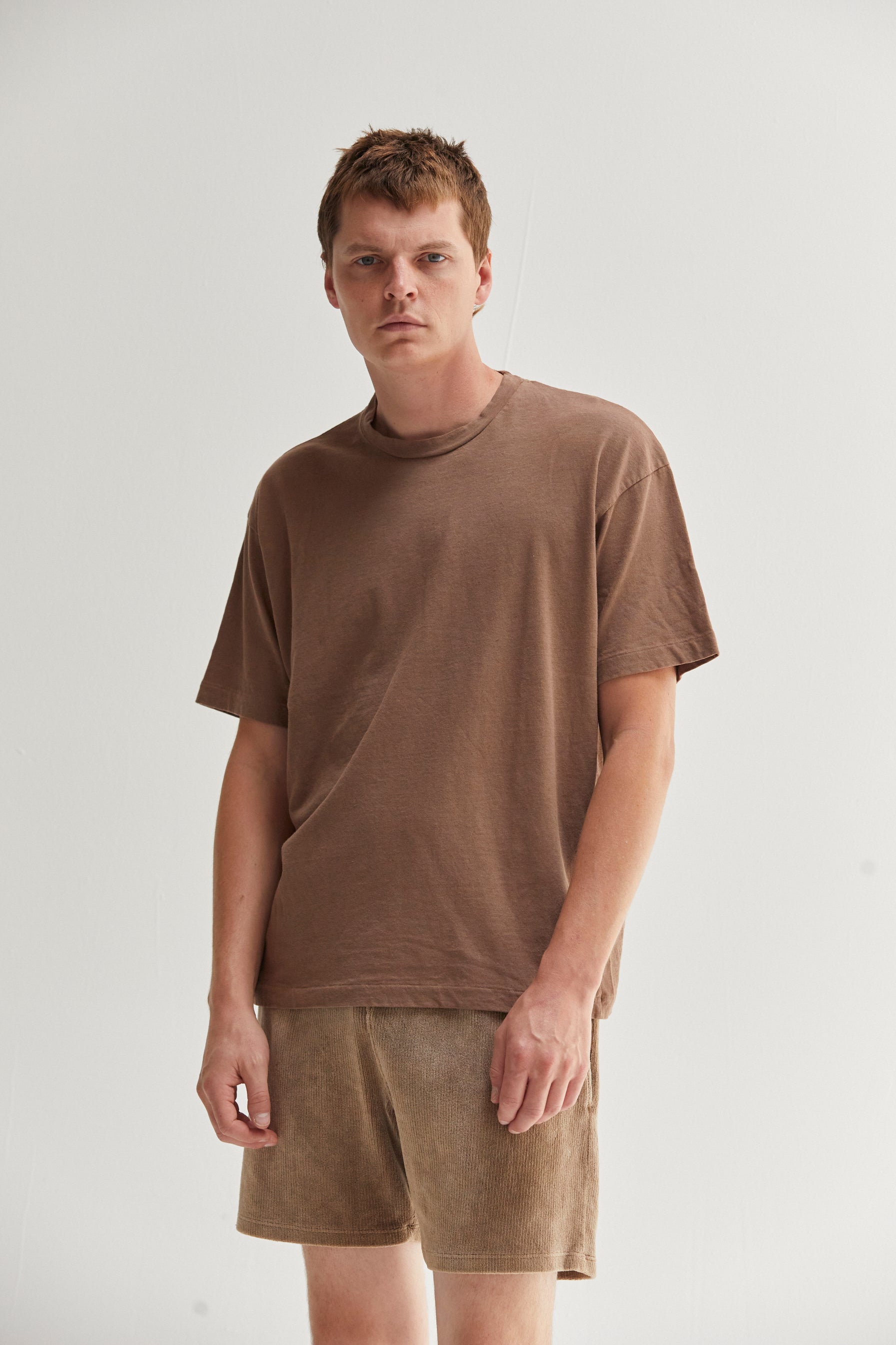 Noah Supima Tee in Mushroom