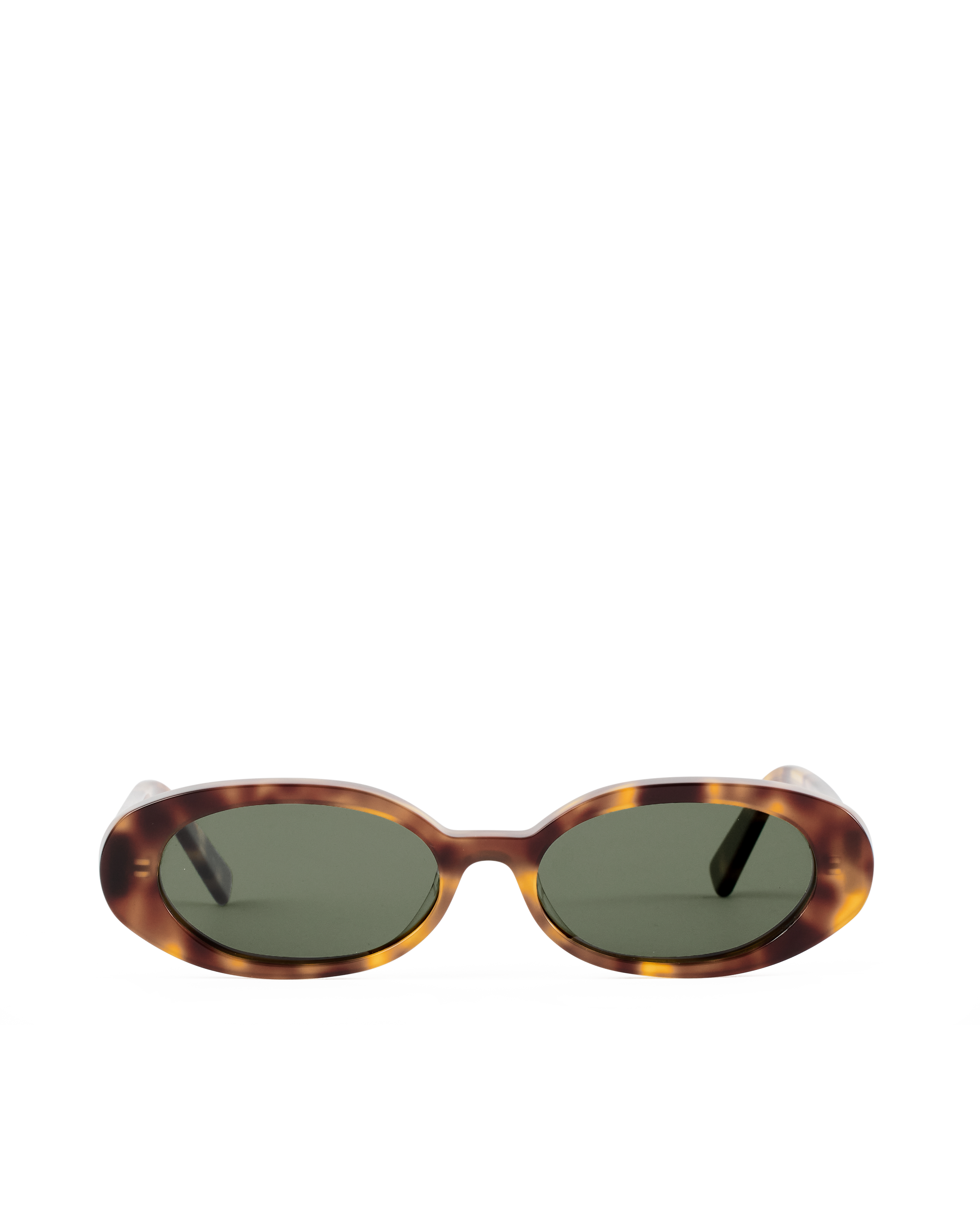 The Carter in Hazel Tortoise