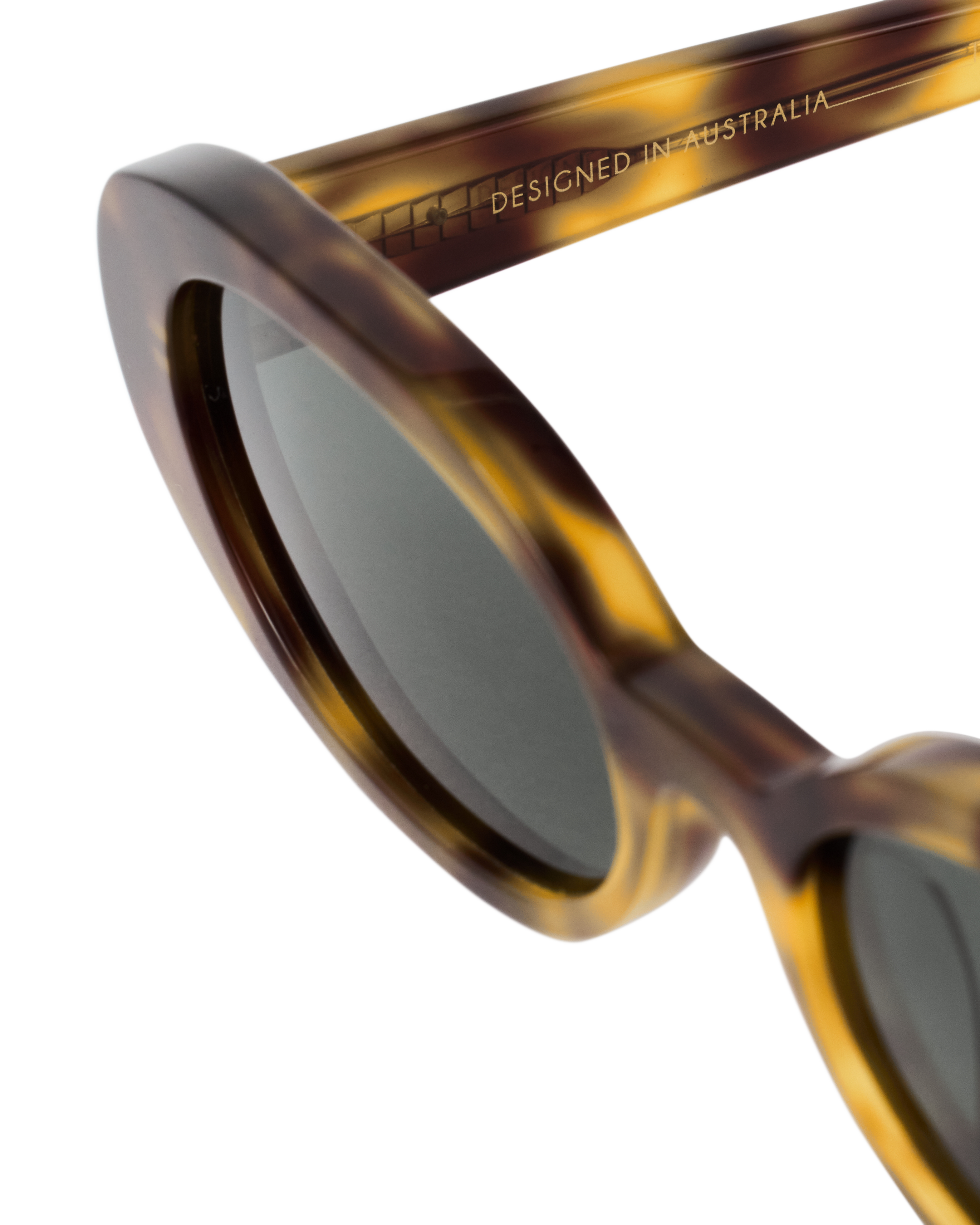 The Carter in Hazel Tortoise