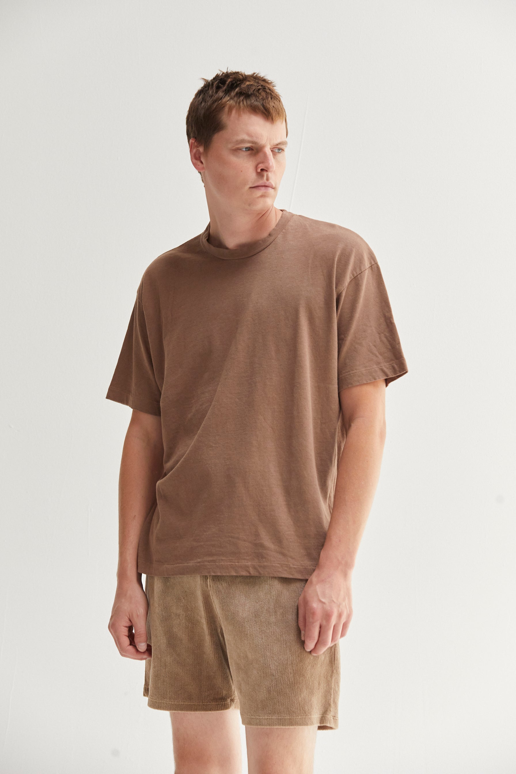 Noah Supima Tee in Mushroom