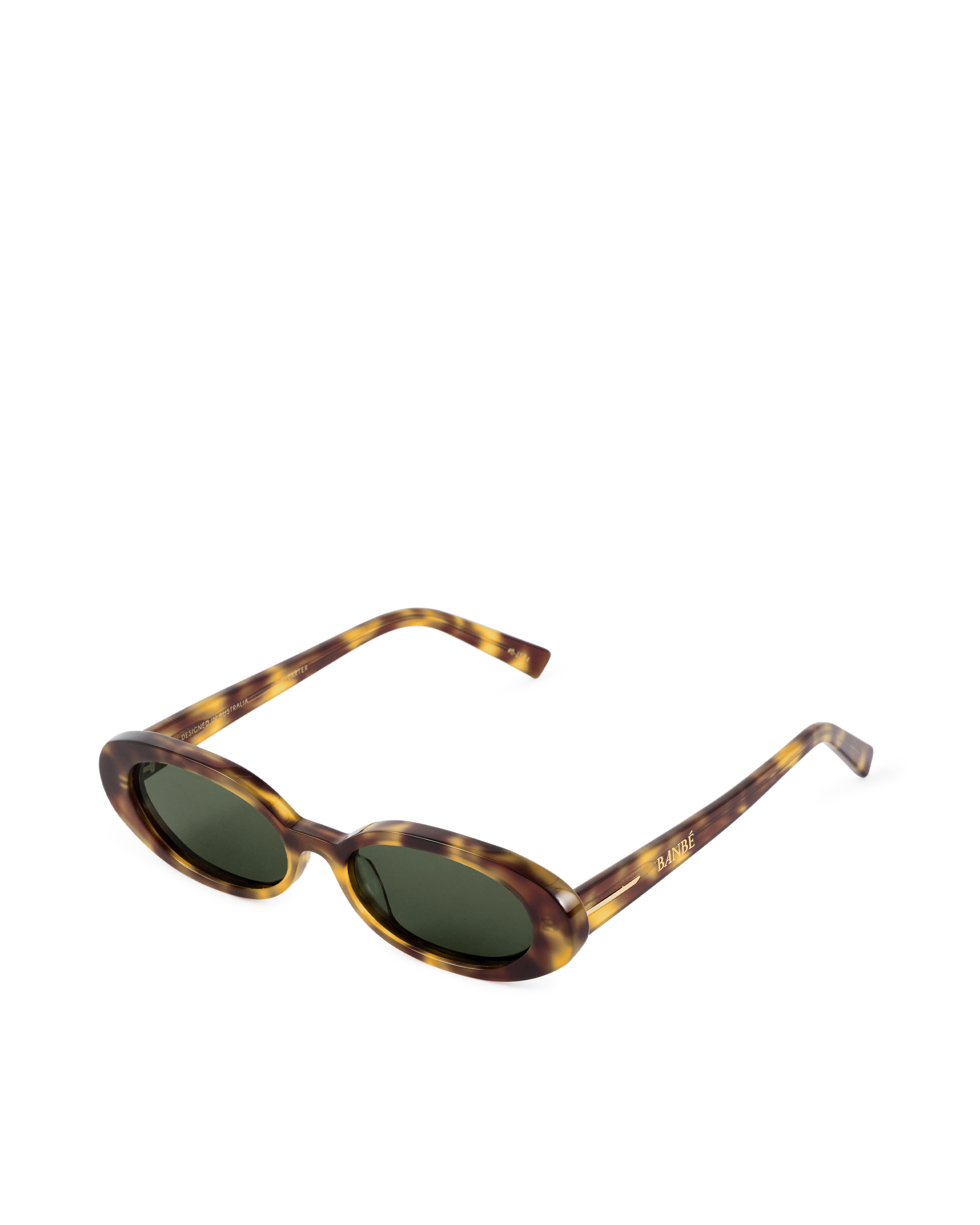 The Carter in Hazel Tortoise