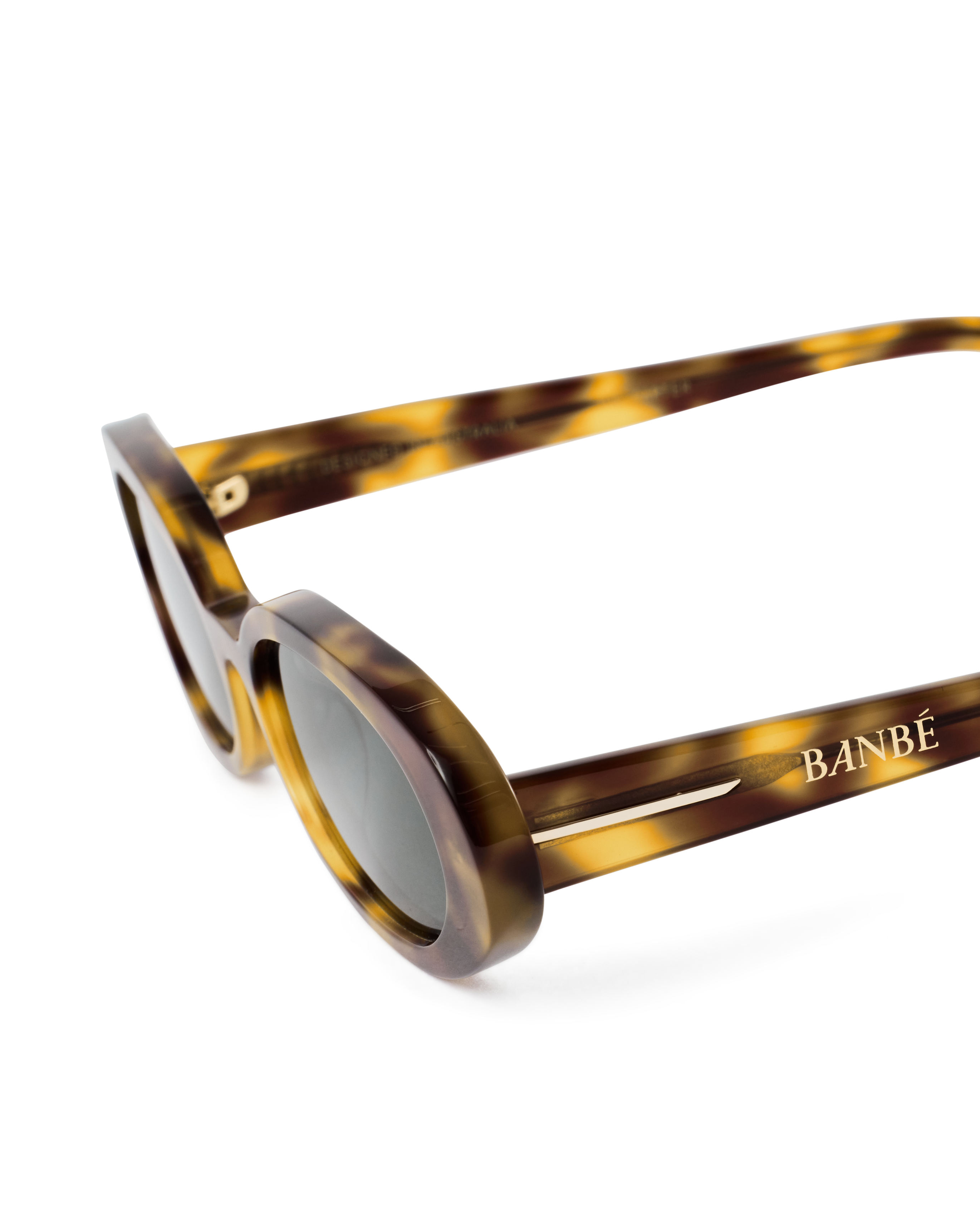 The Carter in Hazel Tortoise