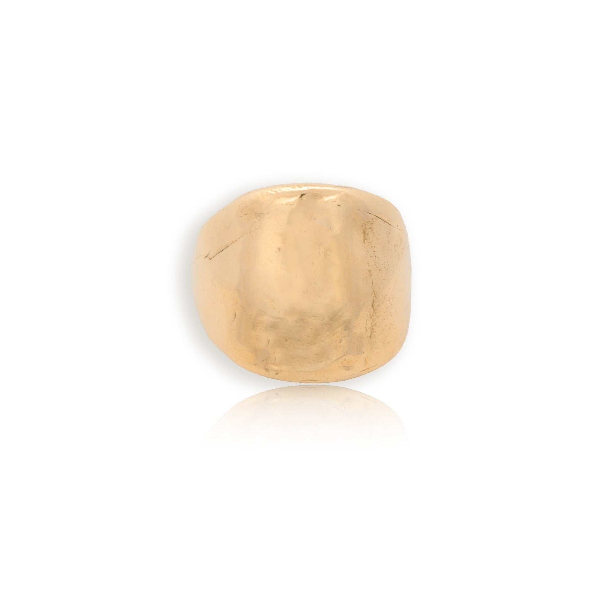 The Protector Ring  - Gold Shield Signet Ring